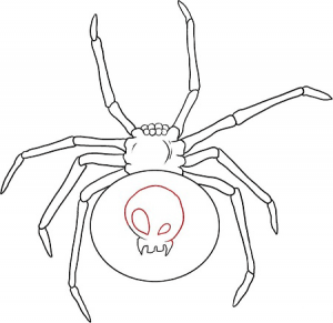 نقاشی ساده عنکبوت