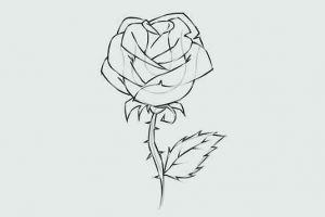 نقاشی ساده گل رز